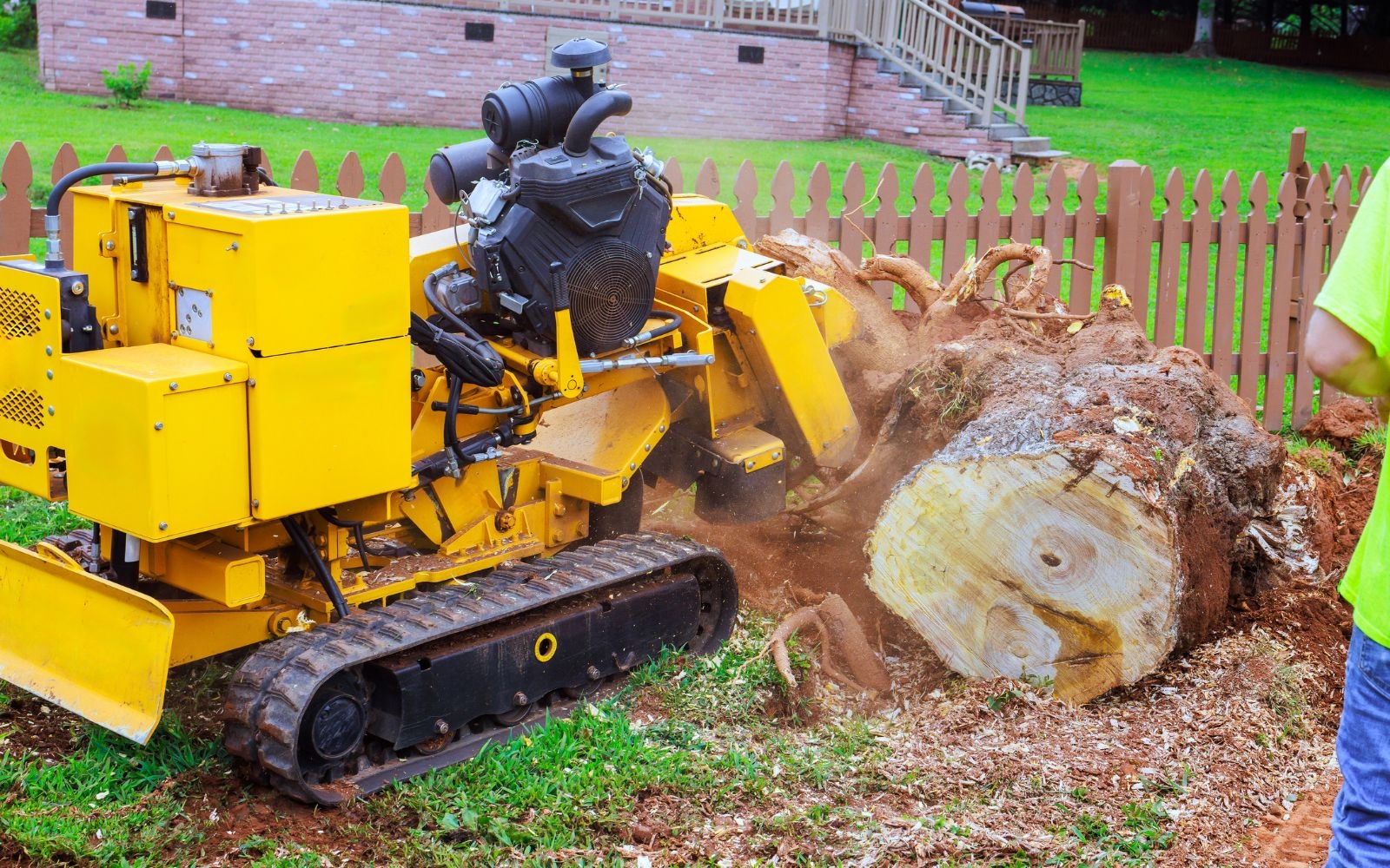 Enhance Tree Vitality with Expert Pruning Melbourne Tree Removal Experts Enhance Tree Vitality with Expert Pruning